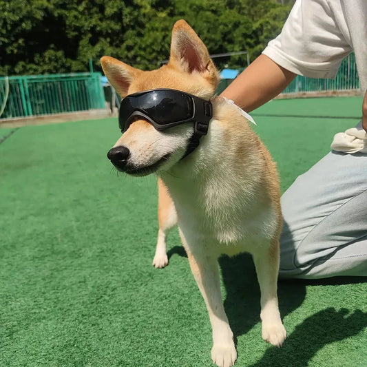 Small orange dog goggles with adjustable elastic straps and UV-blocking polycarbonate lenses