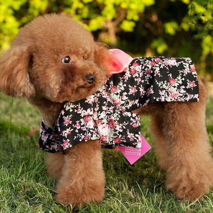 Floral print pet costumes in various sizes for cats and dogs, perfect for spring and autumn celebrations in the UK