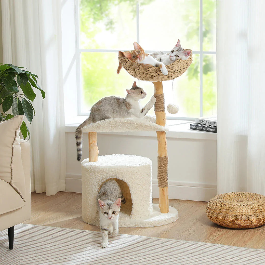 Luxurious modern cat tree with woven basket, hammock, and solid wood scratching post for large indoor cats