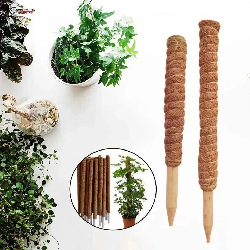 Coir Moss Stick for indoor climbing plants, made from premium coconut fibre for long-lasting support and moisture retention