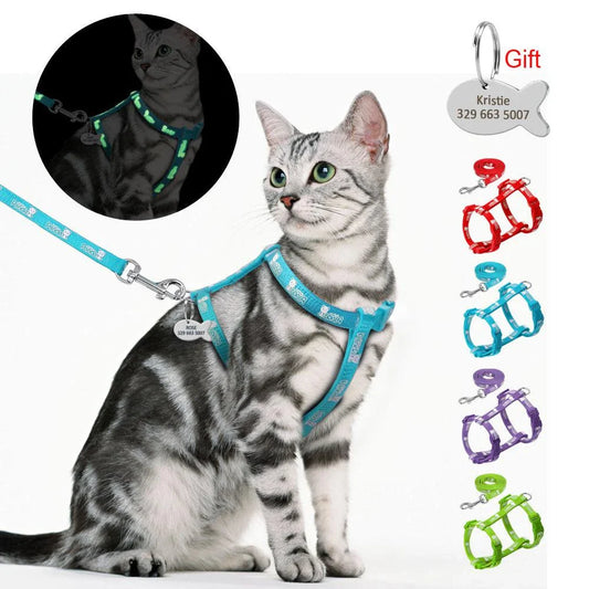 Luminous cat harness and leash set with glow-in-the-dark design for nighttime walks