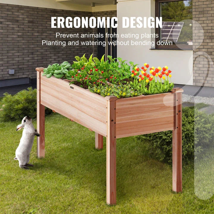 Premium raised wooden garden bed with dual drainage system for UK gardeners