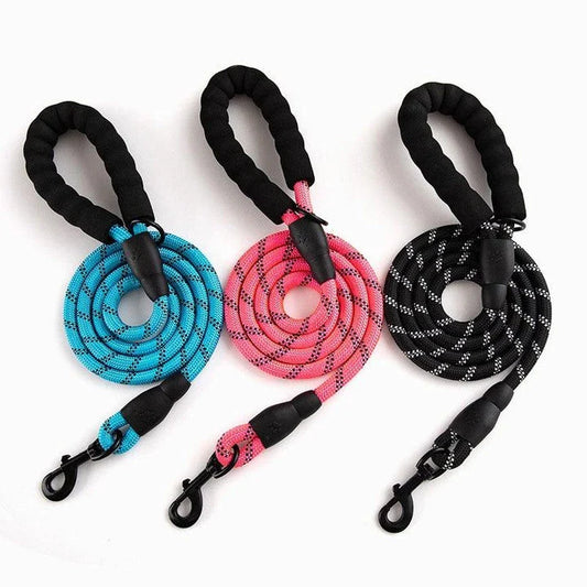 Colourful and durable nylon dog lead in various bright colours, suitable for all dog breeds