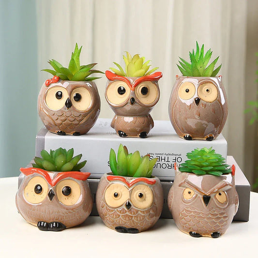Adorable owl-shaped ceramic flower pot in white, suitable for succulents and small plants