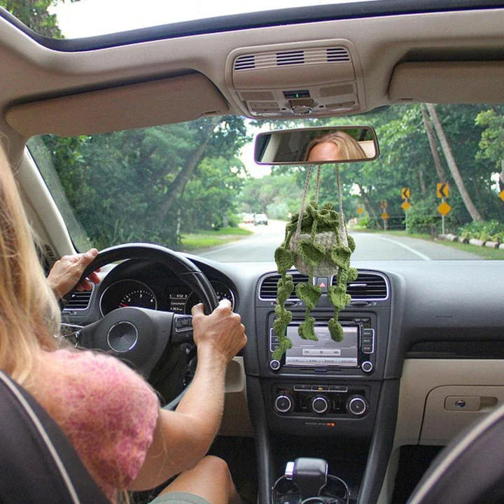 Charming knitted car plant decor with hanging white rope and green and white colour scheme