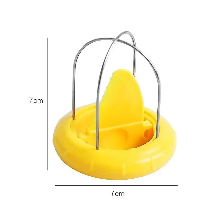 Premium stainless steel kiwi fruit peeler and slicer tool for effortless preparation of healthy recipes
