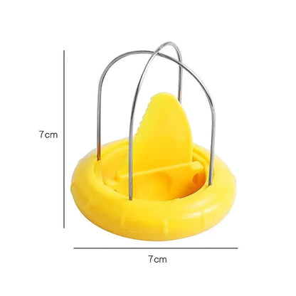 Premium stainless steel kiwi fruit peeler and slicer tool for effortless preparation of healthy recipes