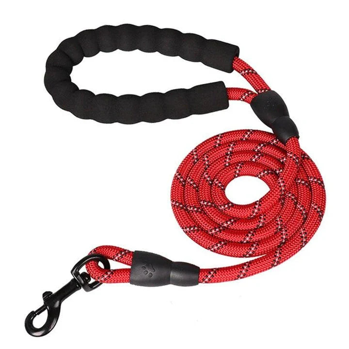Colourful and durable nylon dog lead in various bright colours, suitable for all dog breeds