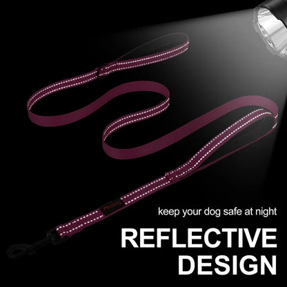 Premium 5ft Dual-Handle Reflective Nylon Dog Leash with durable nylon construction, padded handles, and reflective stitching for enhanced visibility