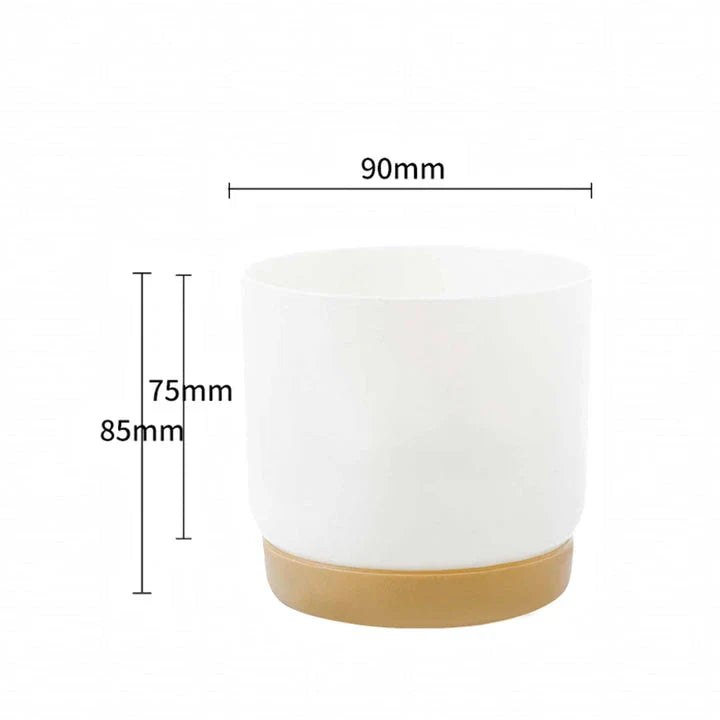 Double-Layer Self-Watering Succulent Plant Pot in White, Suitable for Indoor and Outdoor Decor