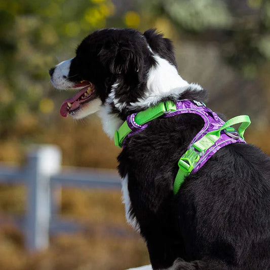 Premium explosion-proof reflective camouflage dog harness with aviation aluminium buckle for enhanced safety and visibility