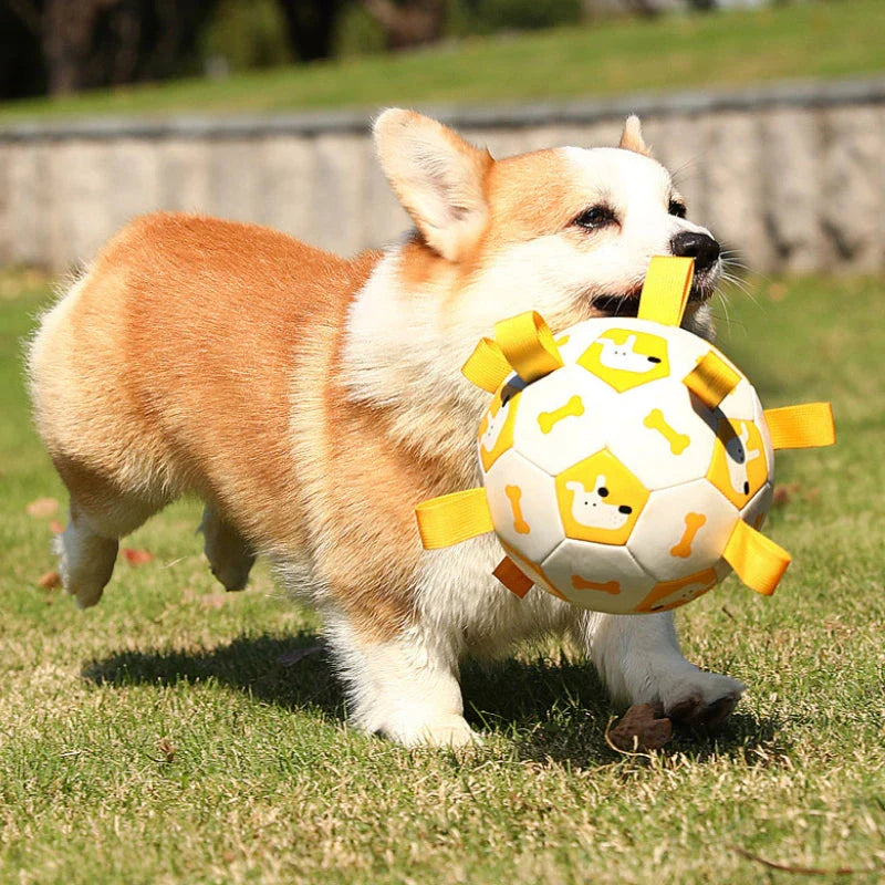 Durable leather interactive dog football toy with grab tabs for outdoor play and training