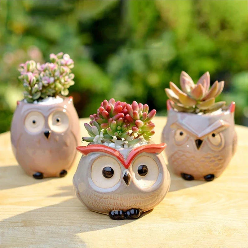 Adorable owl-shaped ceramic flower pot in white, suitable for succulents and small plants