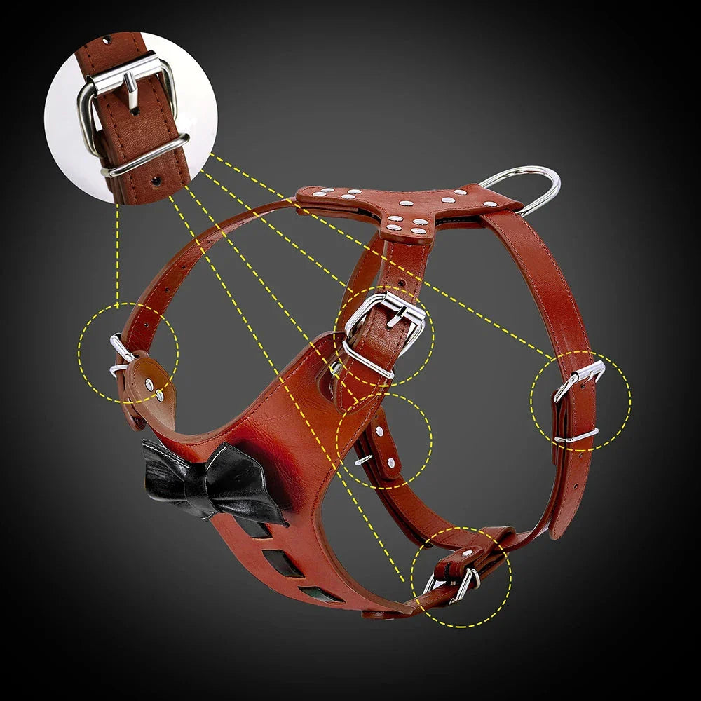 Premium genuine leather dog harness with a charming bowknot accessory, designed for medium to large breed dogs