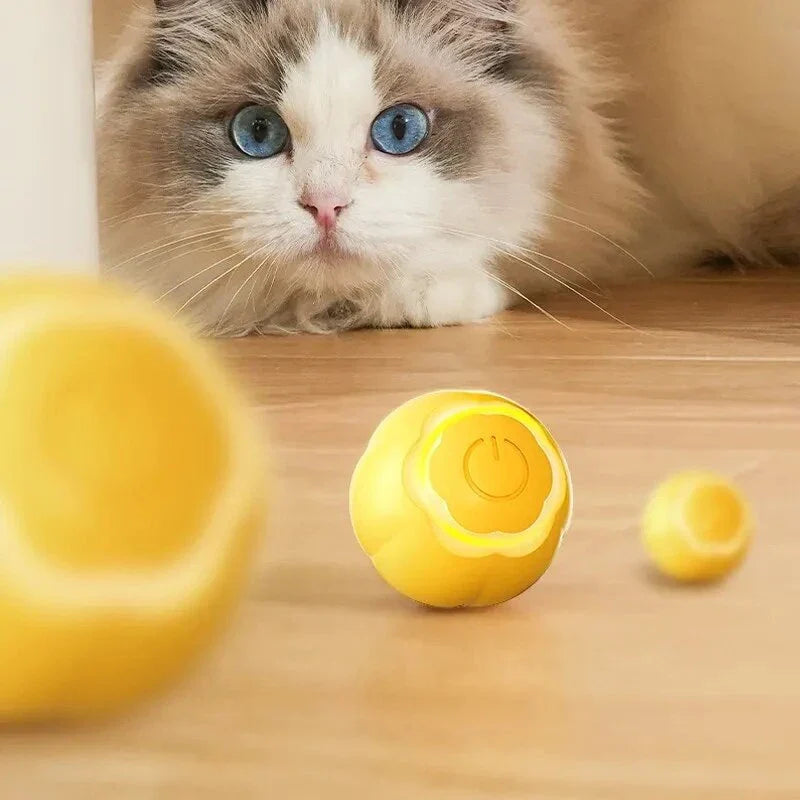 Intelligent LED cat toy ball with dynamic movements and colourful lights to engage and entertain feline companions