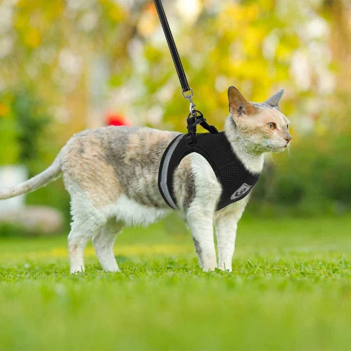 Premium Breathable Pet Harness with Reflective Trim - Comfortable and Durable Design for Outdoor Adventures with Your Pet