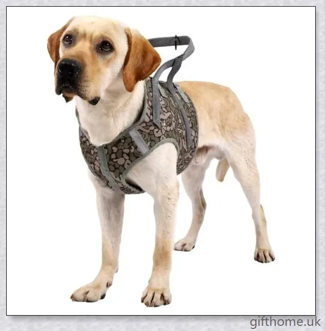 Full Body Supportive Dog Lift Harness with adjustable straps, handle, and leash rings for mobility assistance