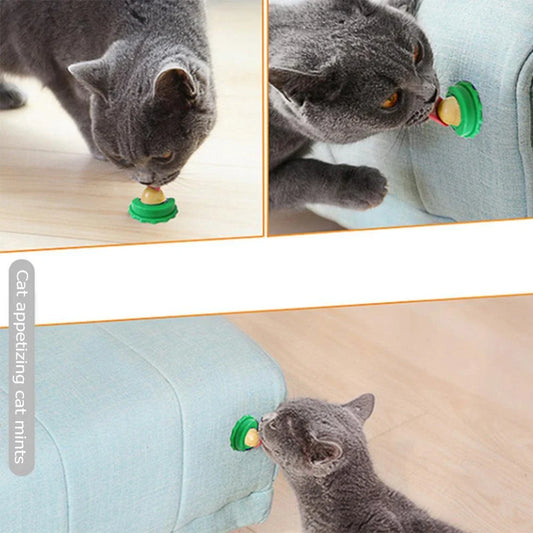 Premium cat licking treat made with catnip and fish gelatin for a delightful and healthy snacking experience