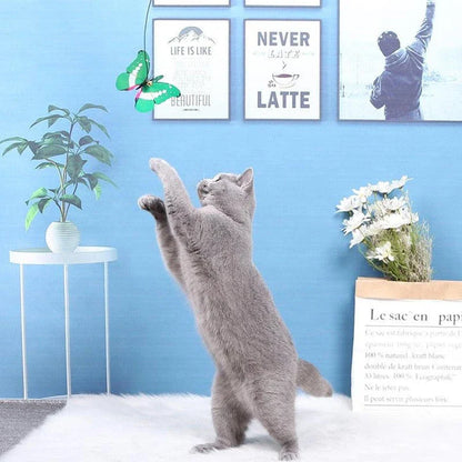A colourful cat toy in the shape of a butterfly on a stick, designed to engage and entertain your feline friend.