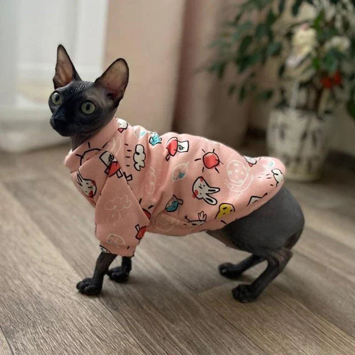 Cat wearing a colourful, printed sweatshirt in a vibrant yellow-bear design