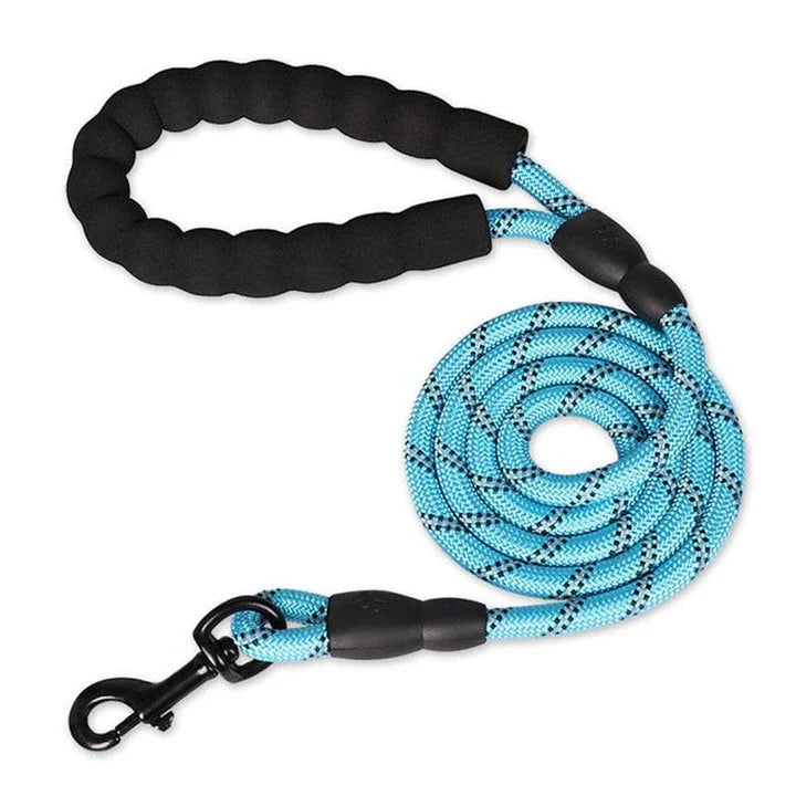 Colourful and durable nylon dog lead in various bright colours, suitable for all dog breeds