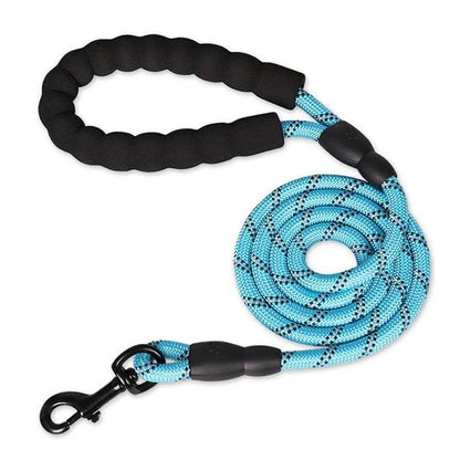 Colourful and durable nylon dog lead in various bright colours, suitable for all dog breeds