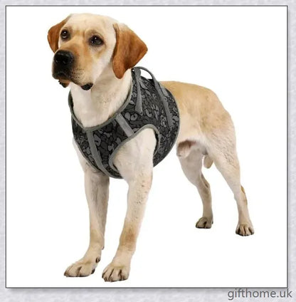 Full Body Supportive Dog Lift Harness with adjustable straps, handle, and leash rings for mobility assistance