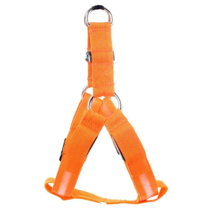Luminous dog harness with orange colour and adjustable size options for dogs