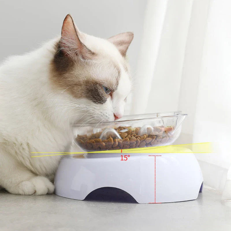 A white 15-degree inclined pet bowl with a non-slip stand, designed to provide a comfortable and healthy mealtime experience for cats and small dogs.