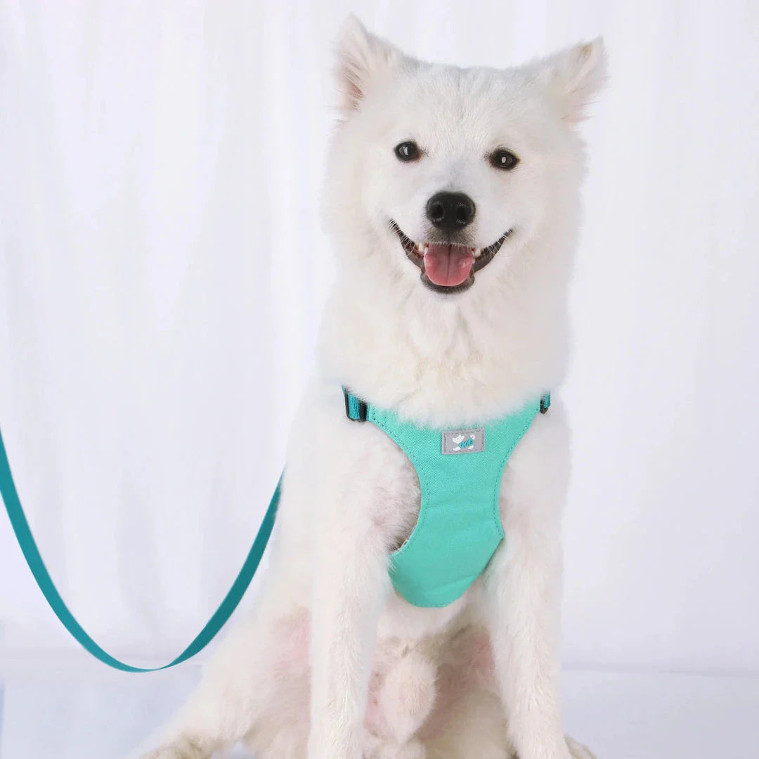 Premium Adjustable Nylon Dog Harness and Leash Set in vibrant yellow colour, designed for comfort and style during walks and outdoor adventures.