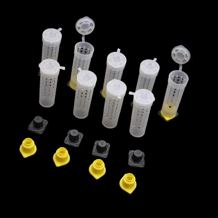 Comprehensive 50-piece queen bee rearing kit with plastic cages and cups for beekeepers in the United Kingdom