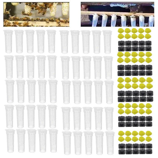 Comprehensive 50-piece queen bee rearing kit with plastic cages and cups for beekeepers in the United Kingdom