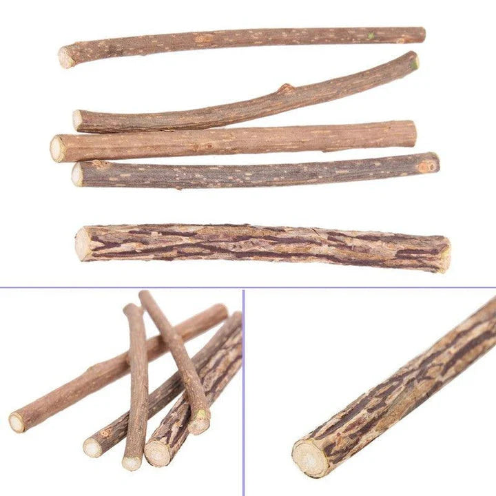 Premium catnip-infused dental chews for cats, designed to clean teeth and freshen breath