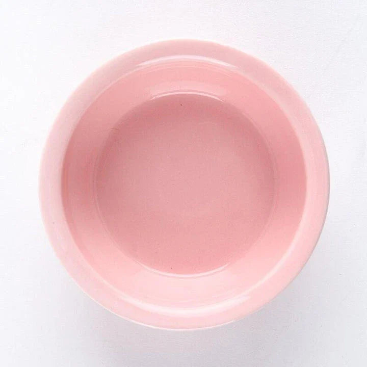 Ceramic Pet Bowl with Tilted Base in various colours, designed for comfort and style