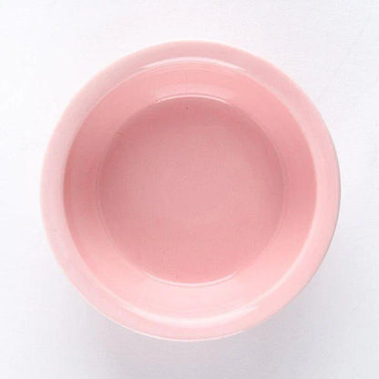 Ceramic Pet Bowl with Tilted Base in various colours, designed for comfort and style