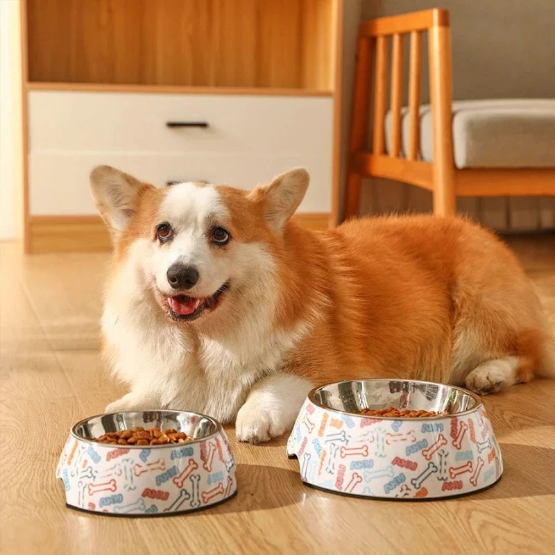 Stainless steel pet bowl with anti-slip base for cats and dogs