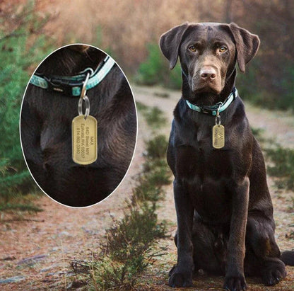 Vintage-style personalized pet ID tag made from durable metal, featuring engraved text for customization and a classic design.