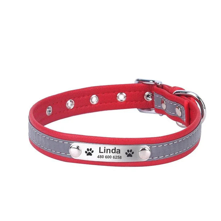 Premium Personalized Reflective Dog Collar in various colours and sizes, designed to enhance your canine's safety and style