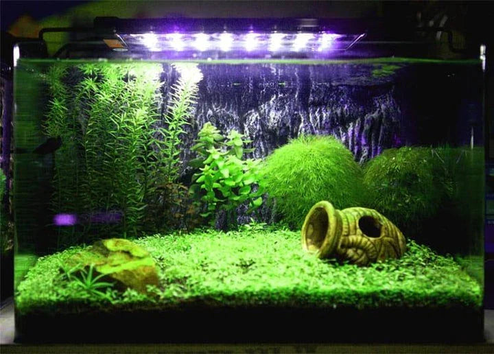 Premium LED aquarium lighting fixture with sleek black design and advanced features for enhancing the beauty of your underwater ecosystem
