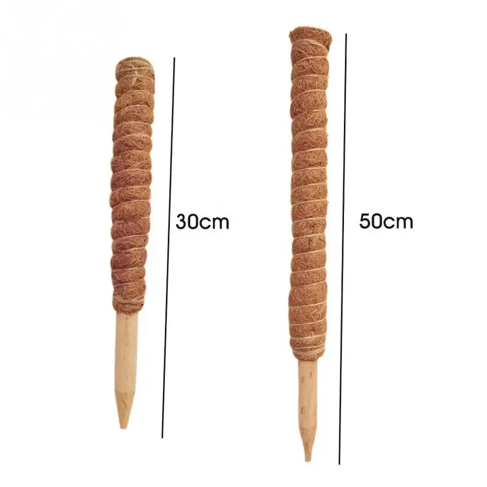 Coir Moss Stick for indoor climbing plants, made from premium coconut fibre for long-lasting support and moisture retention