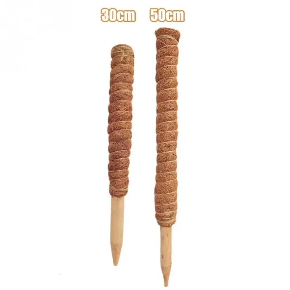 Coir Moss Stick for indoor climbing plants, made from premium coconut fibre for long-lasting support and moisture retention