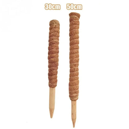 Coir Moss Stick for indoor climbing plants, made from premium coconut fibre for long-lasting support and moisture retention