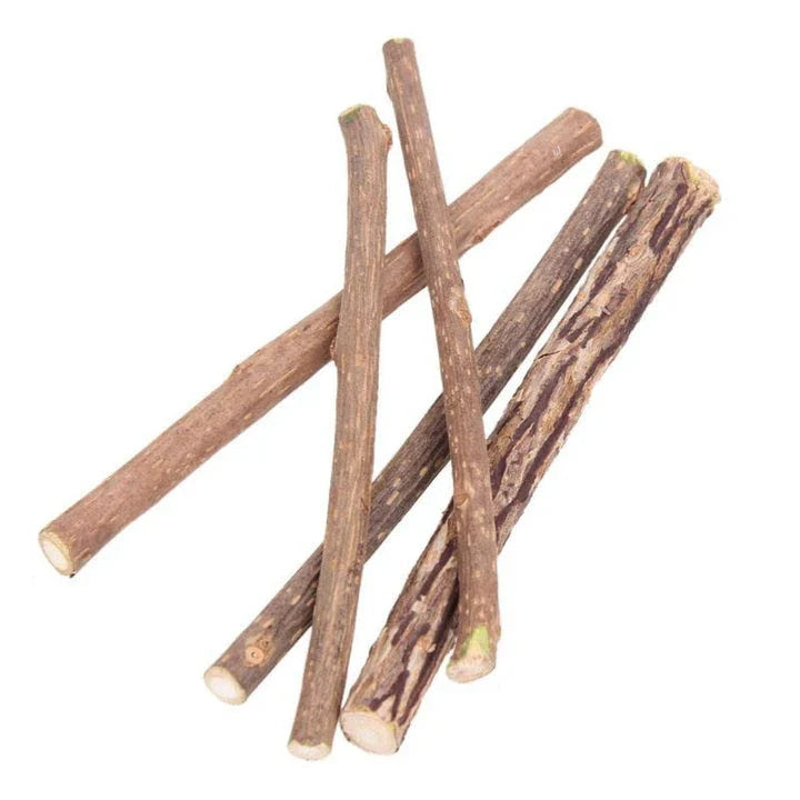 Premium catnip-infused dental chews for cats, designed to clean teeth and freshen breath