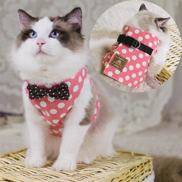 Premium cat harness with adjustable straps and leash for outdoor adventures, featuring a sophisticated gentleman's style design.