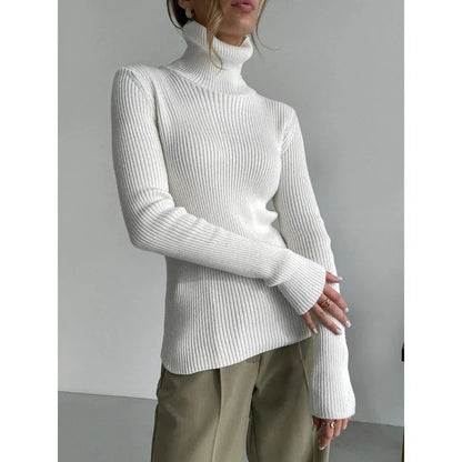 Luxurious autumn and winter turtleneck sweater for women in a variety of colours, featuring a slim-fit design and premium blend of viscose, polyester, and nylon