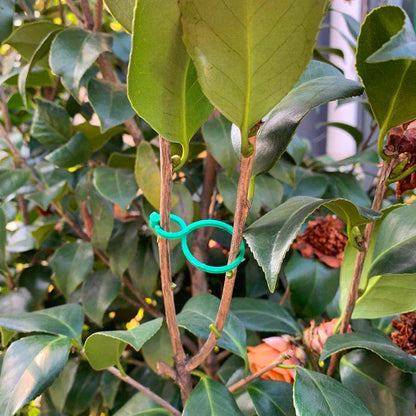 Premium Garden Vine Strapping Clips for plant support and healthy growth