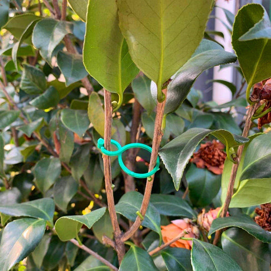Premium Garden Vine Strapping Clips for plant support and healthy growth