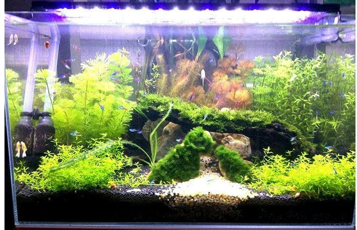 Premium LED aquarium lighting fixture with sleek black design and advanced features for enhancing the beauty of your underwater ecosystem