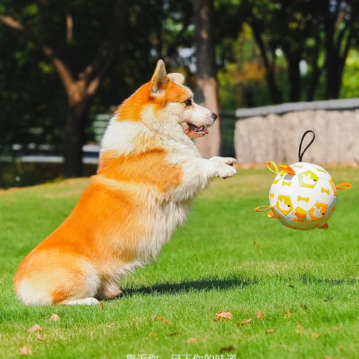Durable leather interactive dog football toy with grab tabs for outdoor play and training