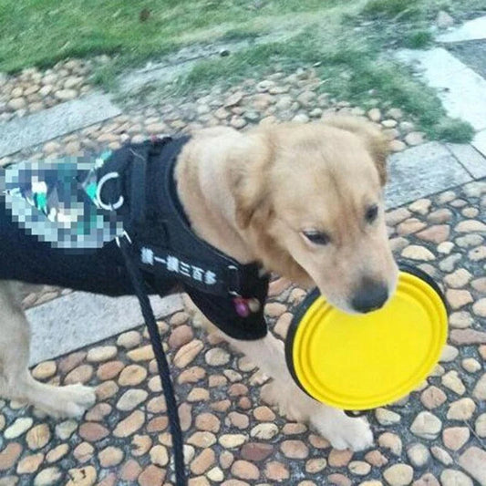 A collapsible pet silicone bowl in black, with a large 350 ml capacity, designed for outdoor adventures with your furry friend.